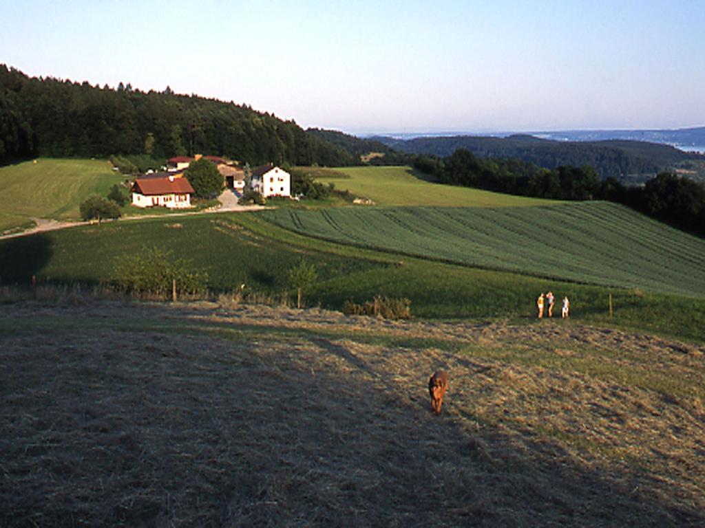 Ferienwohnung Aichem Radolfzell am Bodensee Exterior foto